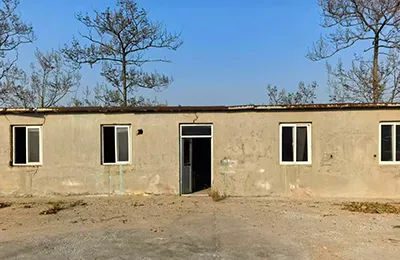 История развития компании